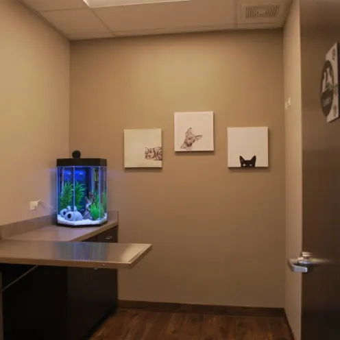 Foxmoor Veterinary Clinic Exam Room with fish tank